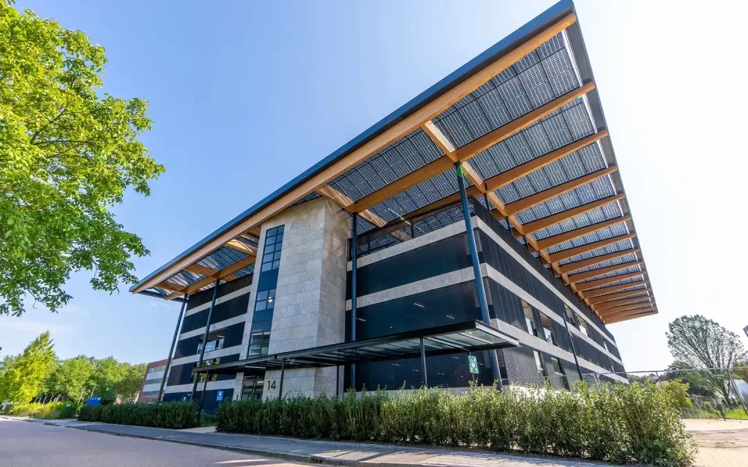 Case Study: Dutch Solar Carport – Perfect Integration of Timber Structure & PV